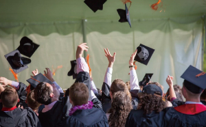 學歷類培訓(xùn)